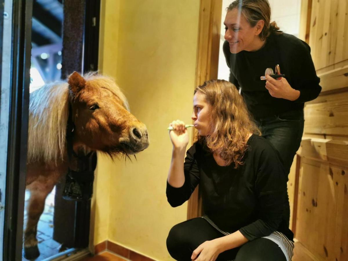 Ferienwohnung Kunz Burg  Esterno foto