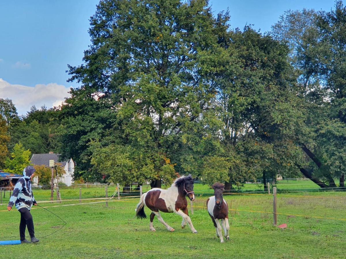 Ferienwohnung Kunz Burg  Esterno foto