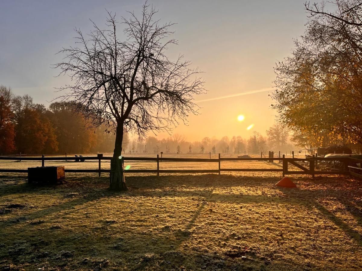Ferienwohnung Kunz Burg  Esterno foto